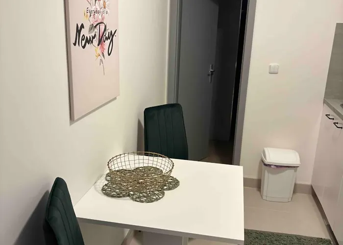 U Novaku 아파트